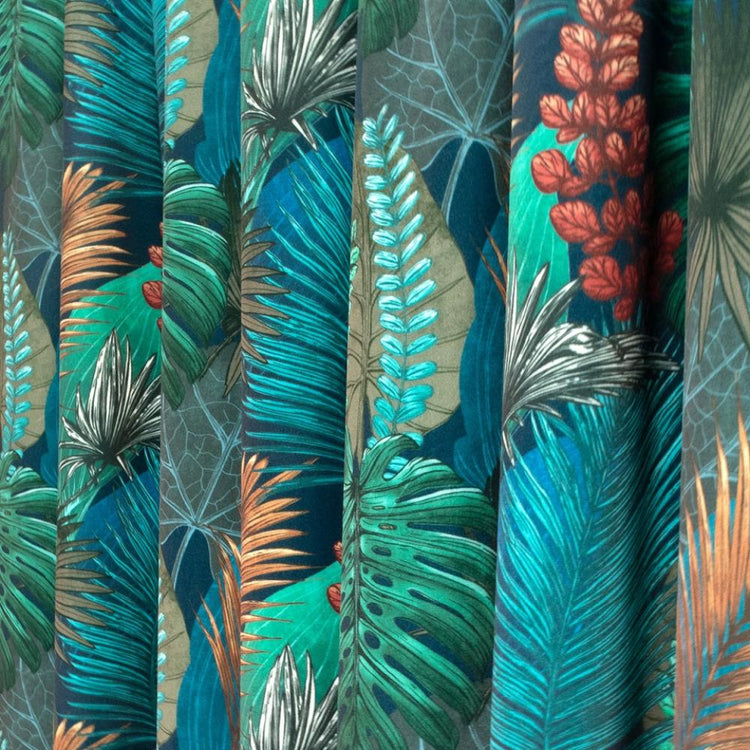 RAINFOREST