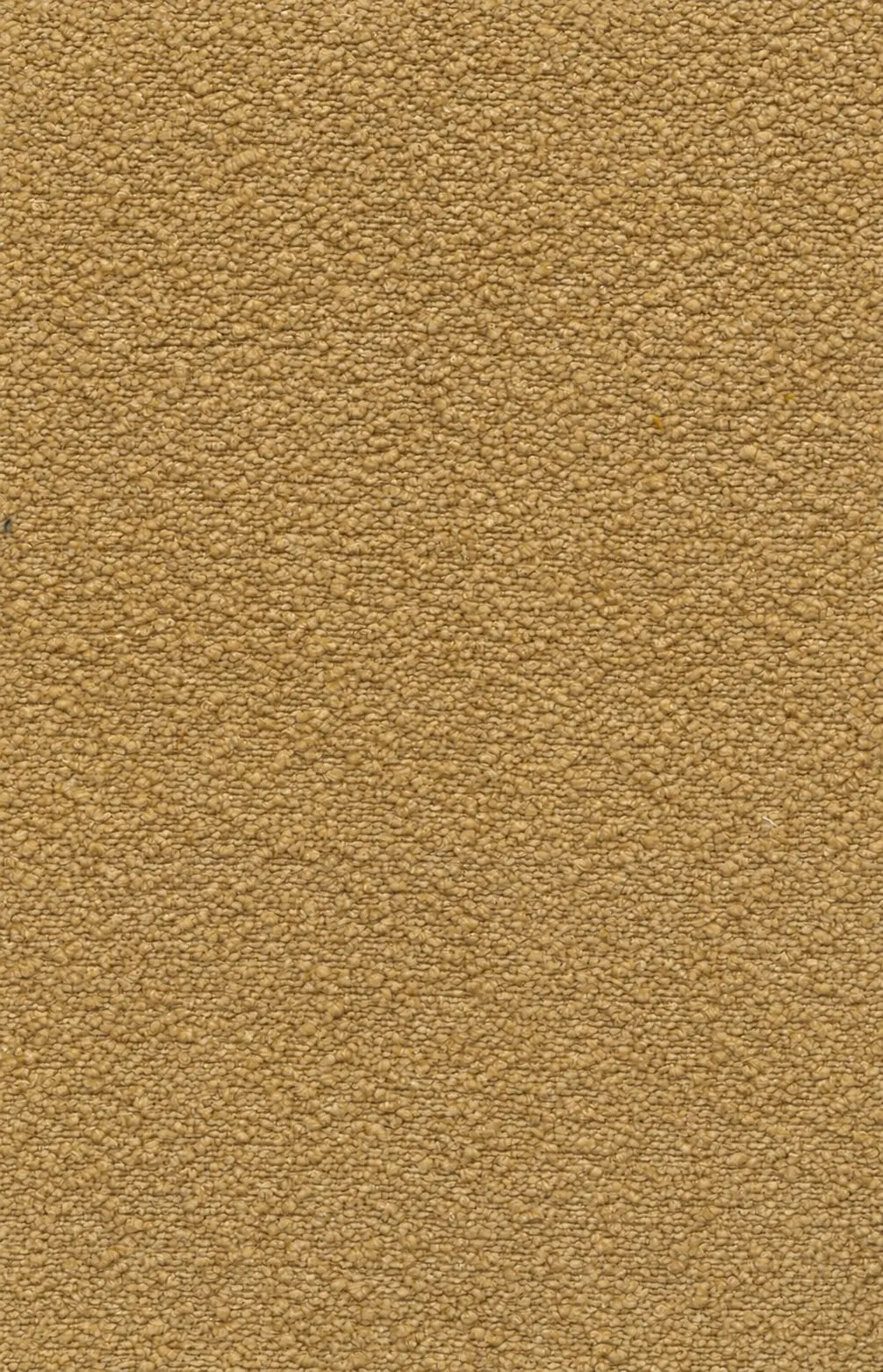 Tissu Bockara 21, bouclé acoustique de 320 cm, coloris ocre doré