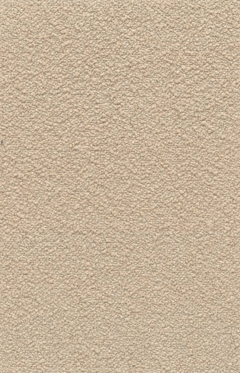 Tissu Bockara 81, bouclé acoustique de 320 cm, coloris lin naturel