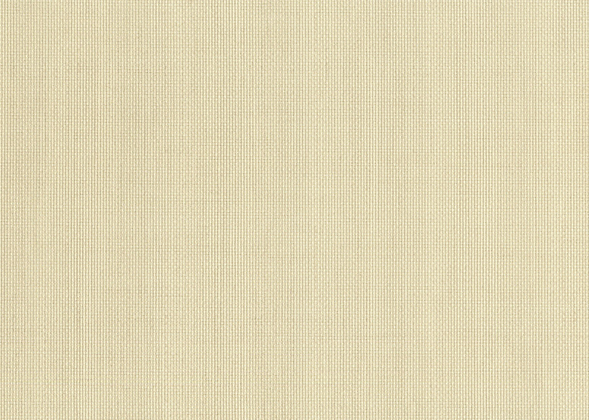 Papier peint Tela — coloris 25341