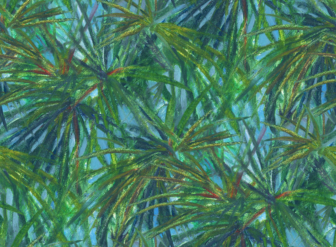 Panoramique Matira, coloris Vert — décor complet