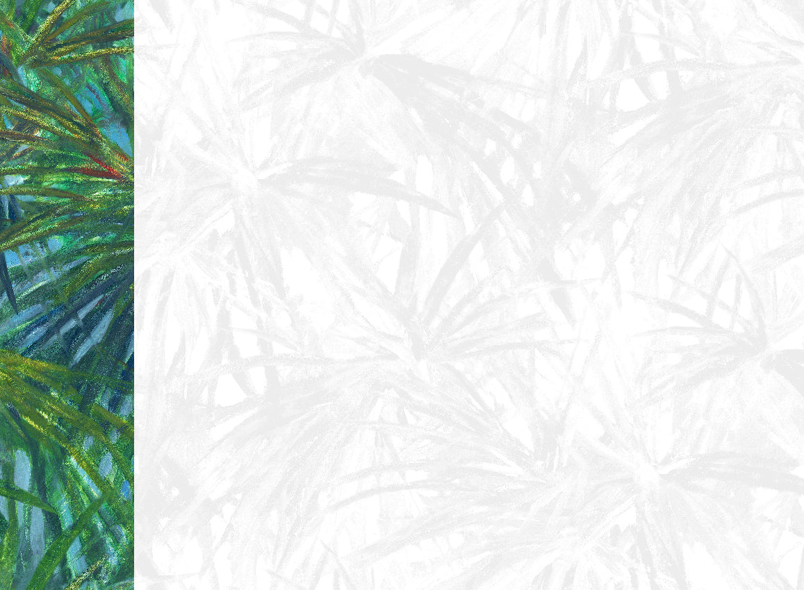 Panoramique Matira, coloris Vert — lé 1