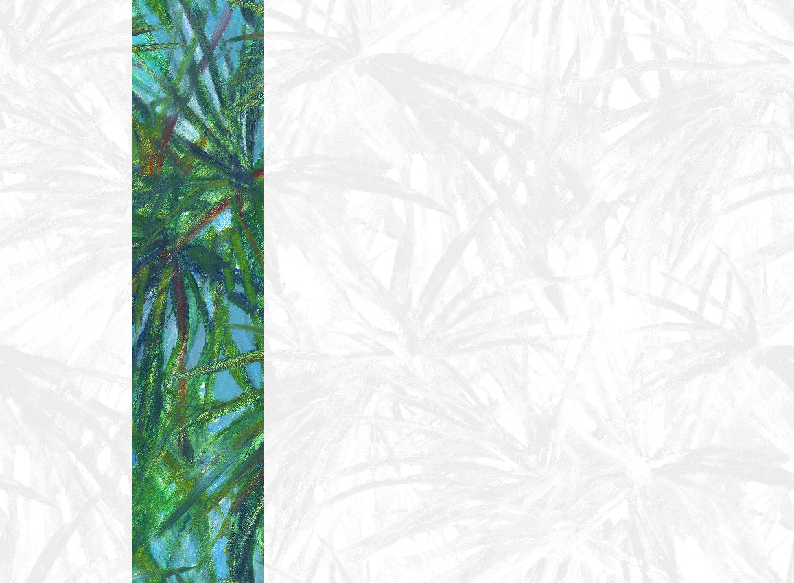 Panoramique Matira, coloris Vert — lé 2
