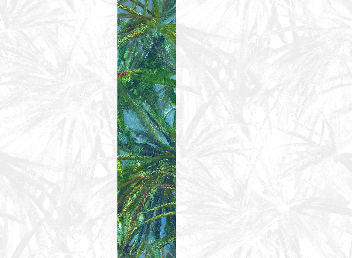 Panoramique Matira, coloris Vert — lé 3
