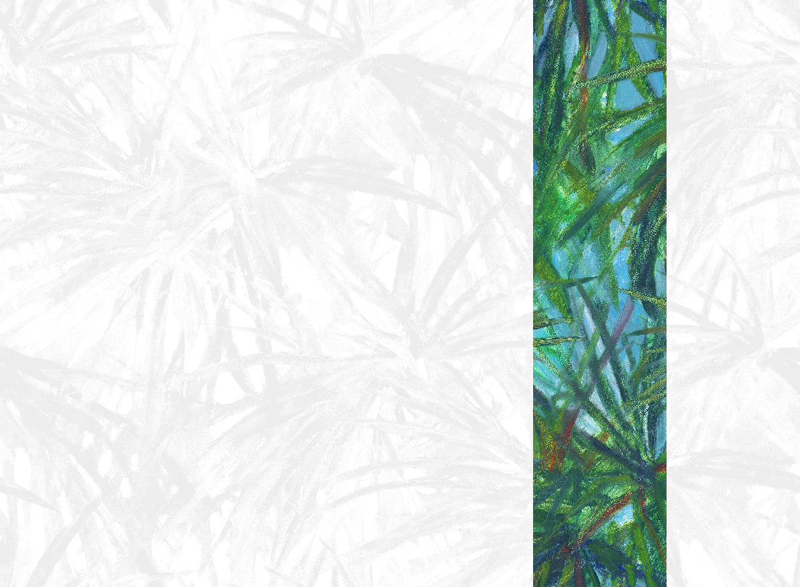 Panoramique Matira, coloris Vert — lé 5