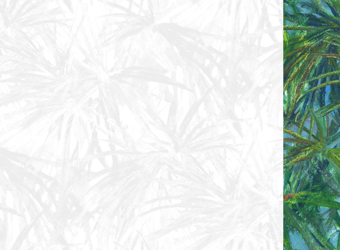 Panoramique Matira, coloris Vert — lé 6