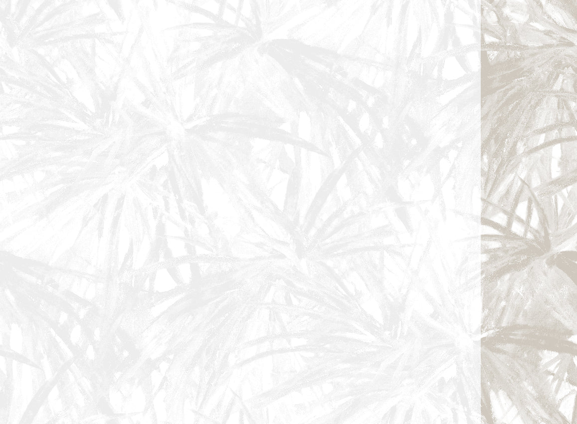 Panoramique Matira, coloris Blanc — lé 6