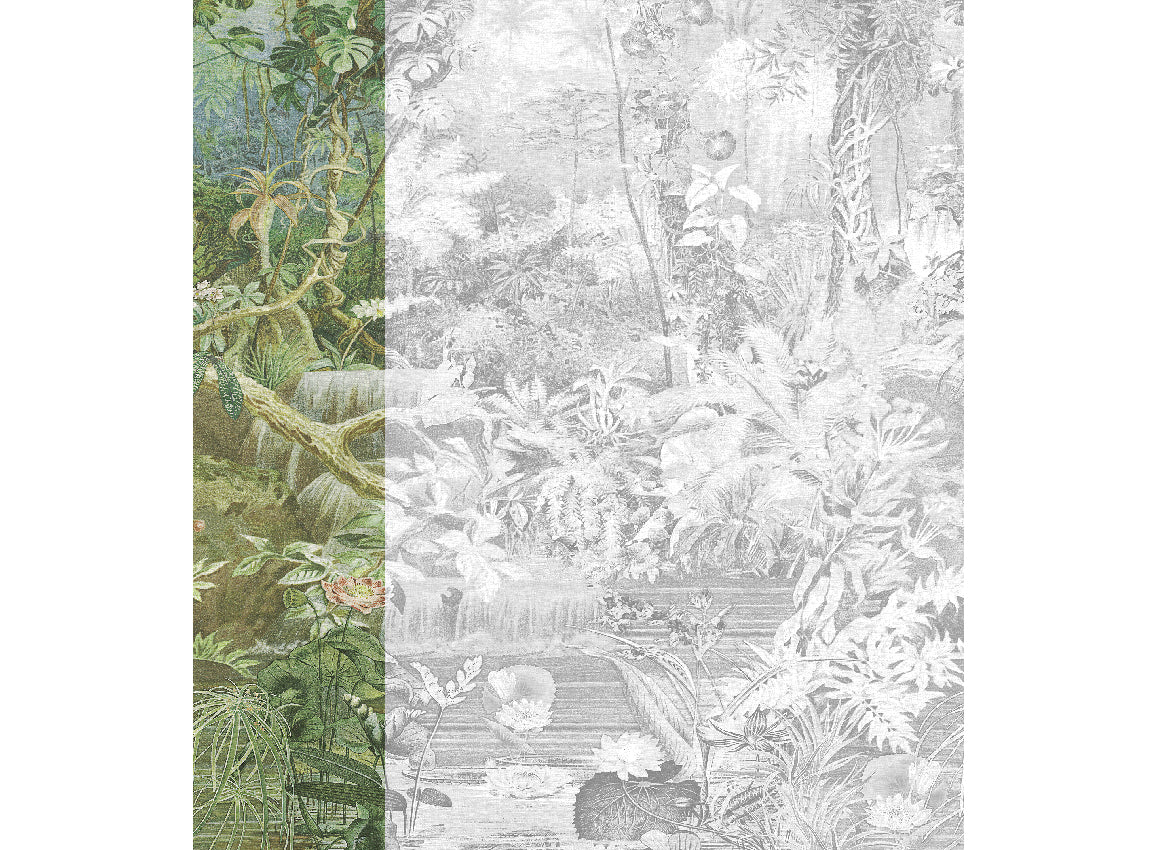 Panoramique Coari, coloris Vert — lé 1