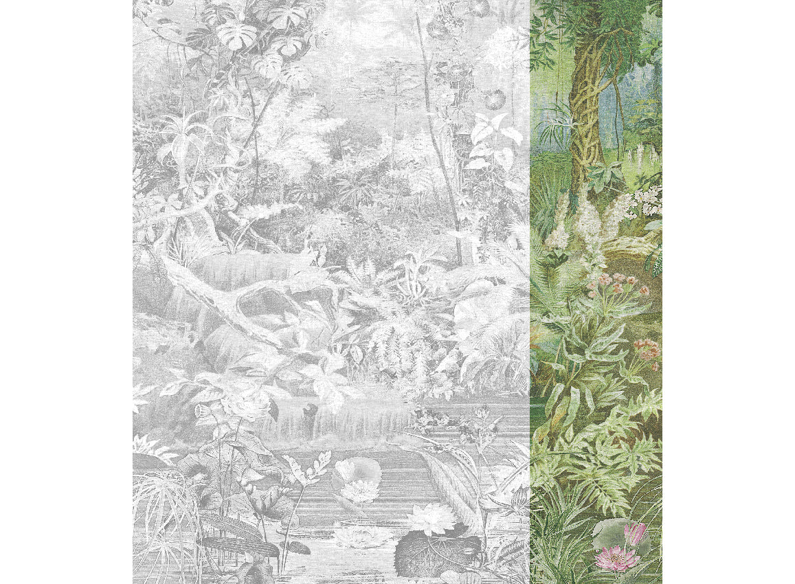 Panoramique Coari, coloris Vert — lé 4