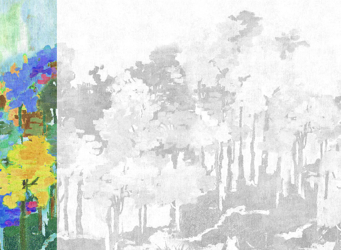 Panoramique Funes, coloris Multicolore — lé 1
