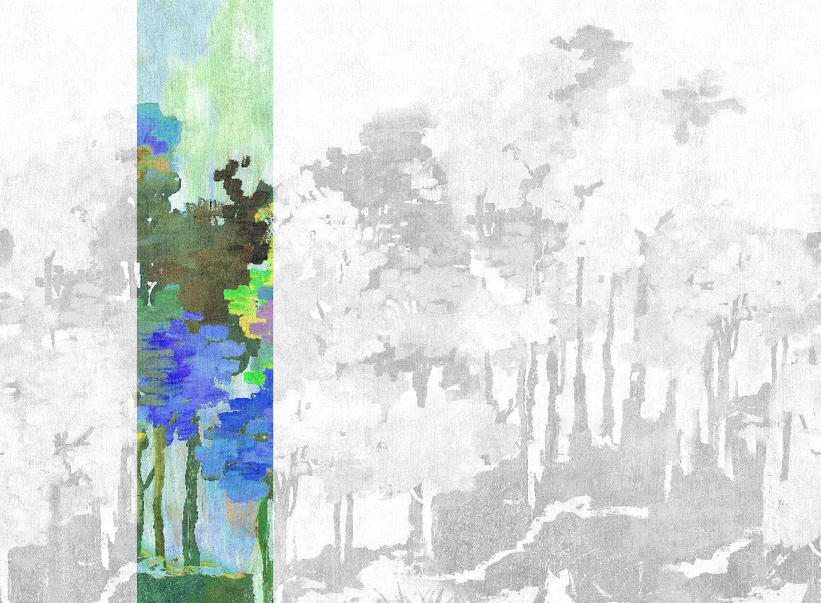 Panoramique Funes, coloris Multicolore — lé 2