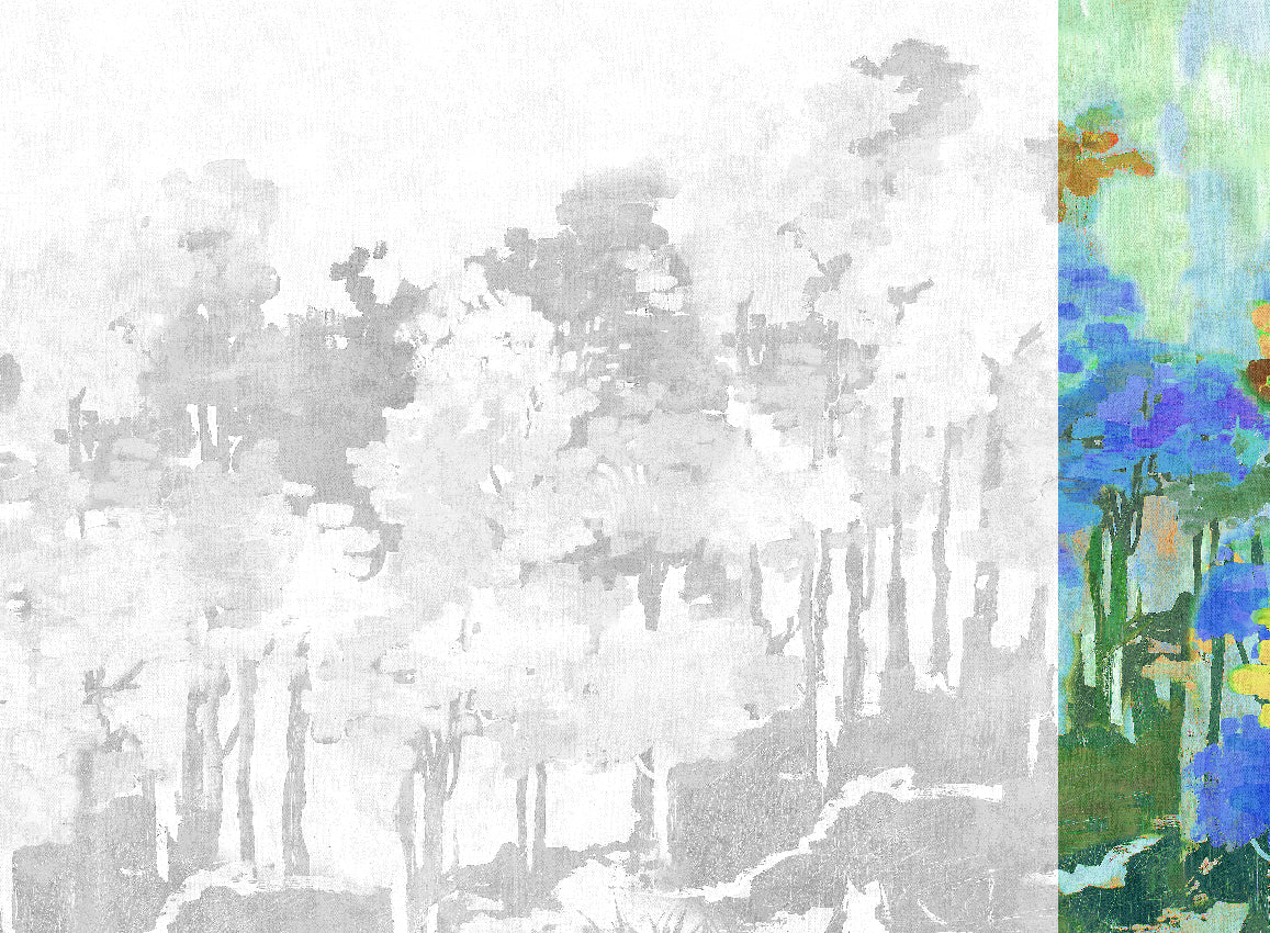 Panoramique Funes, coloris Multicolore — lé 6