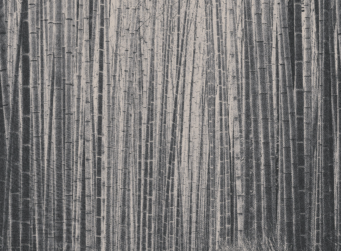 Panoramique Arashiyma, coloris Noir — décor complet