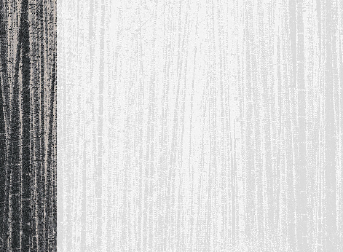 Panoramique Arashiyma, coloris Noir — lé 1