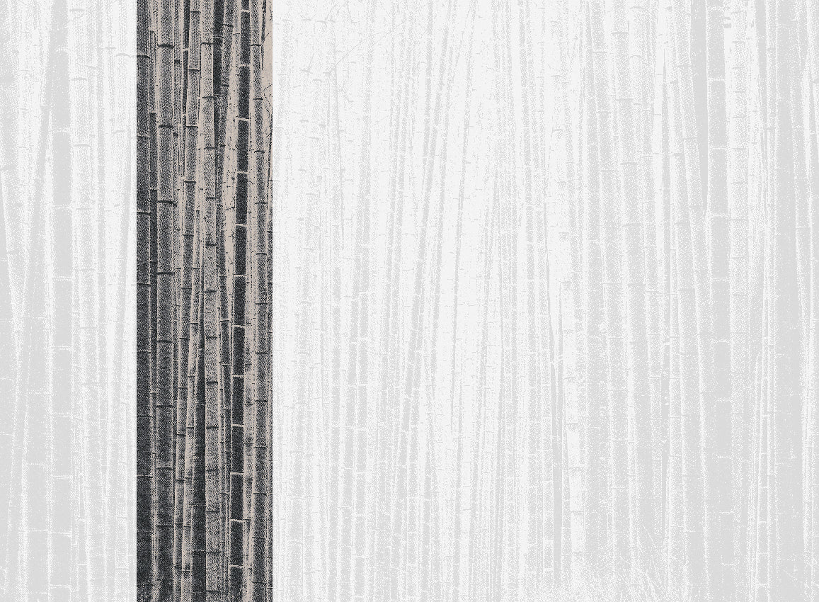Panoramique Arashiyma, coloris Noir — lé 2