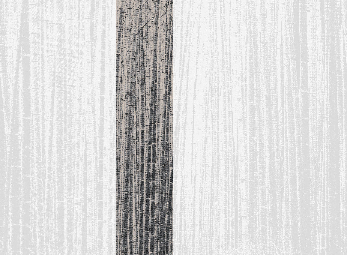 Panoramique Arashiyma, coloris Noir — lé 3