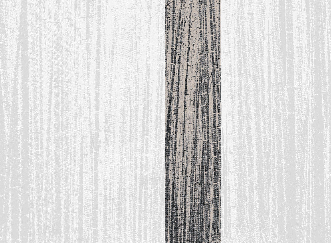 Panoramique Arashiyma, coloris Noir — lé 4