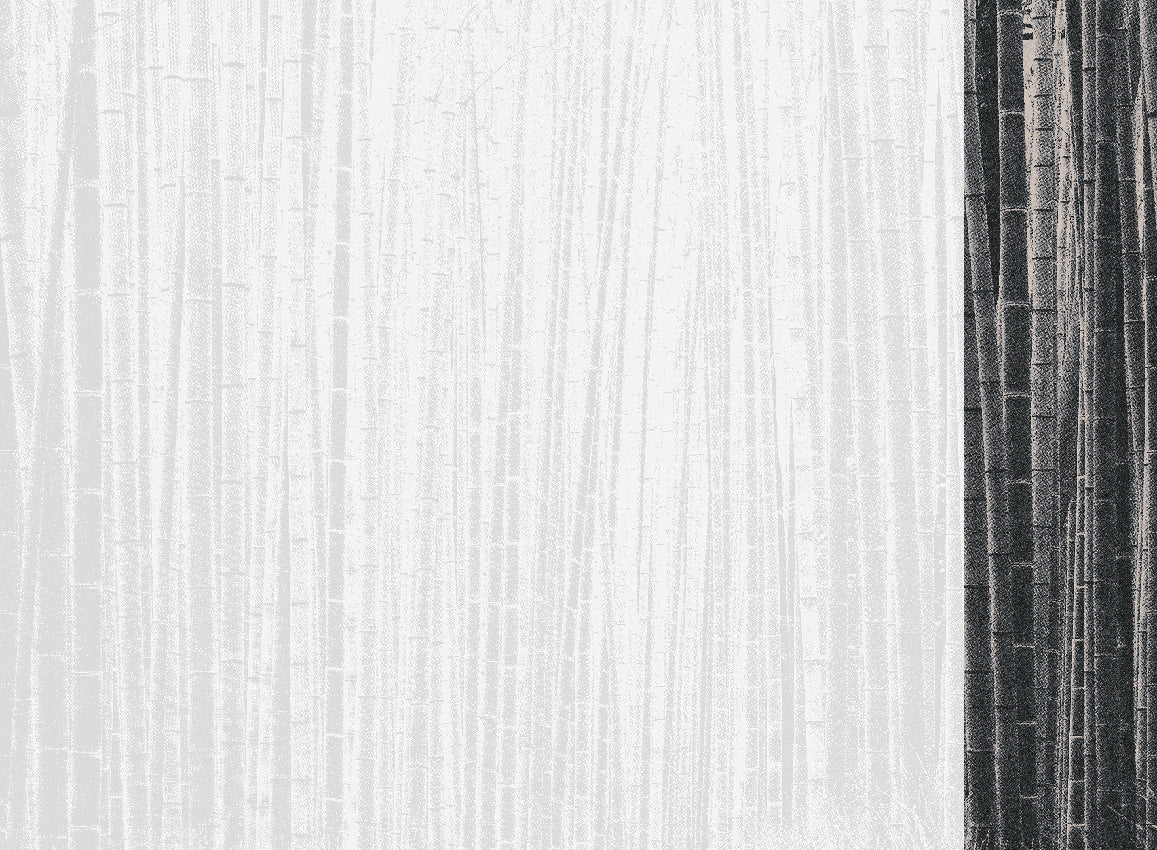Panoramique Arashiyma, coloris Noir — lé 6