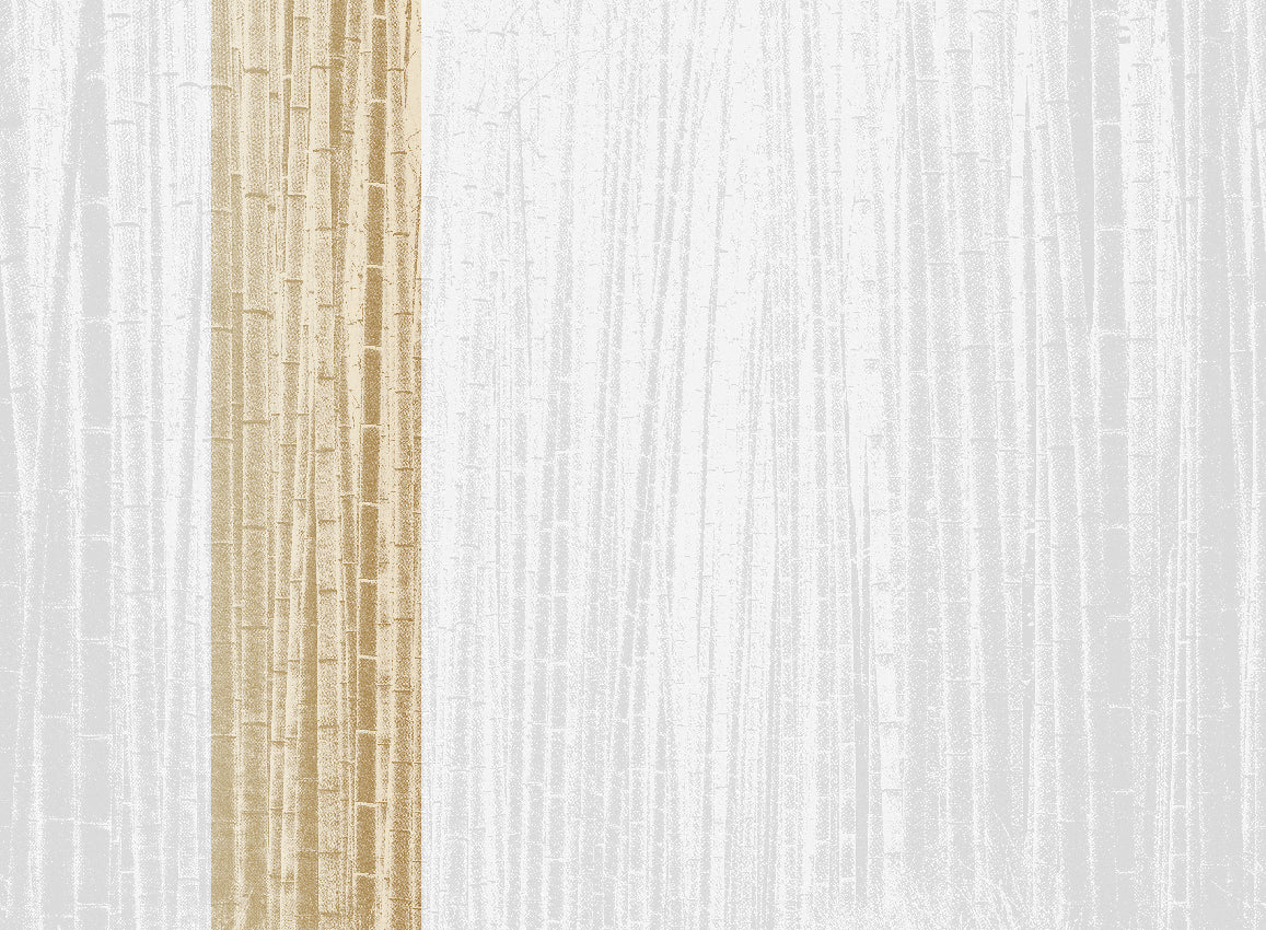 Panoramique Arashiyma, coloris Aurore — lé 2