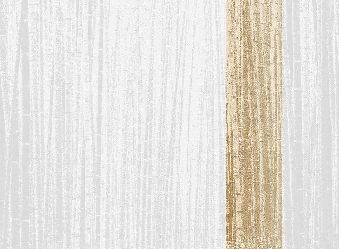 Panoramique Arashiyma, coloris Aurore — lé 5