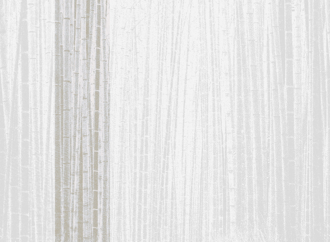 Panoramique Arashiyma, coloris Neutre — lé 2