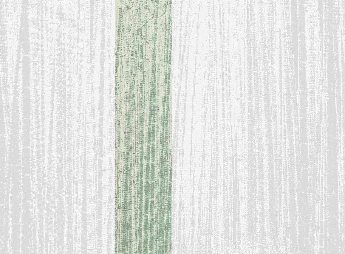 Panoramique Arashiyma, coloris Sauge — lé 3