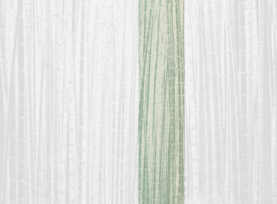 Panoramique Arashiyma, coloris Sauge — lé 4