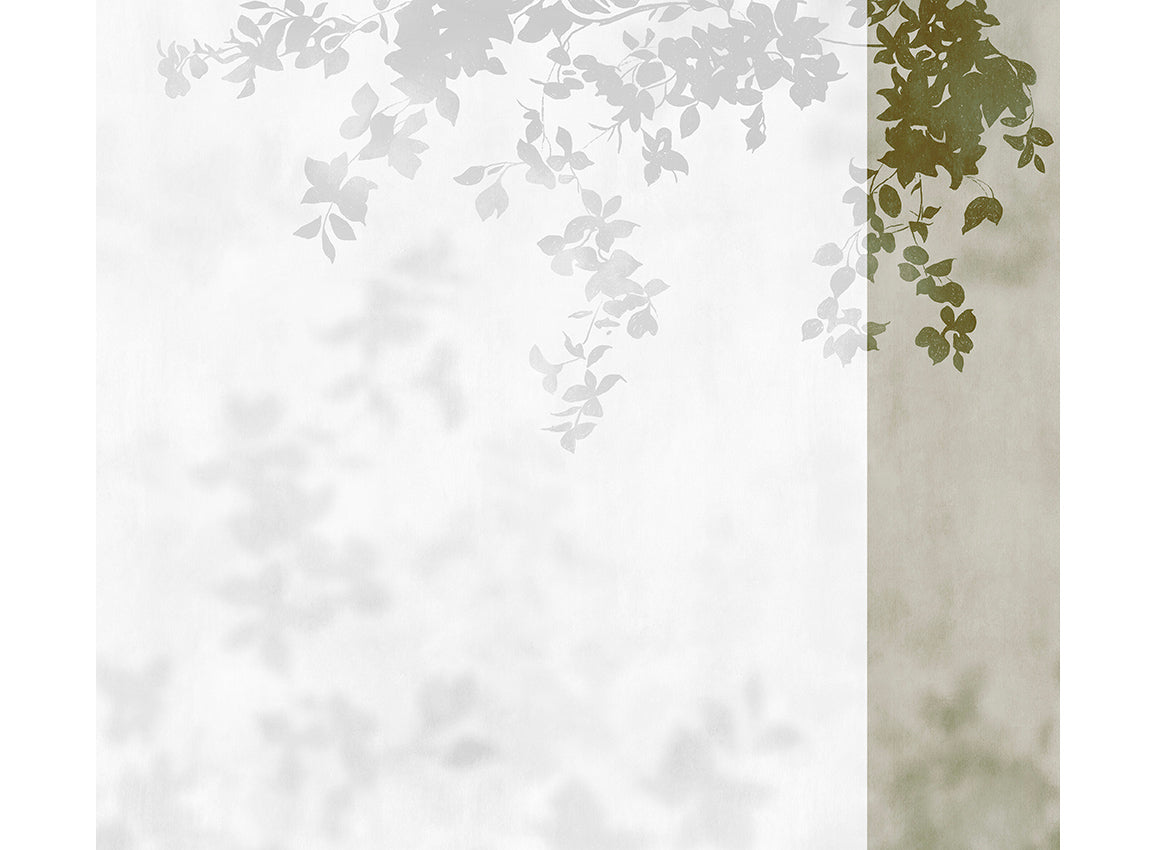 Panoramique Domme, coloris Vert — lé 5