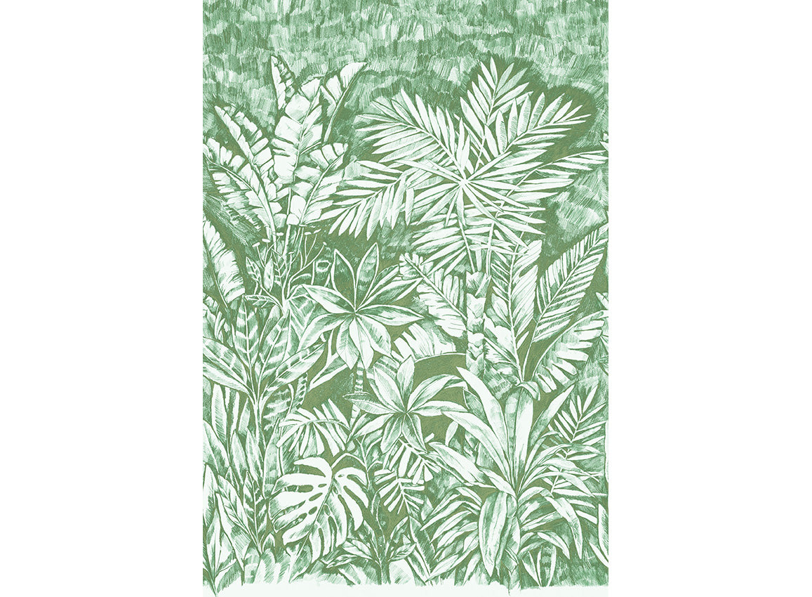 Panoramique Daintree, coloris Forêt — décor complet