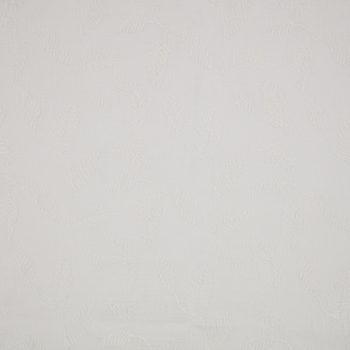 Folia Chalk – Villa Nova