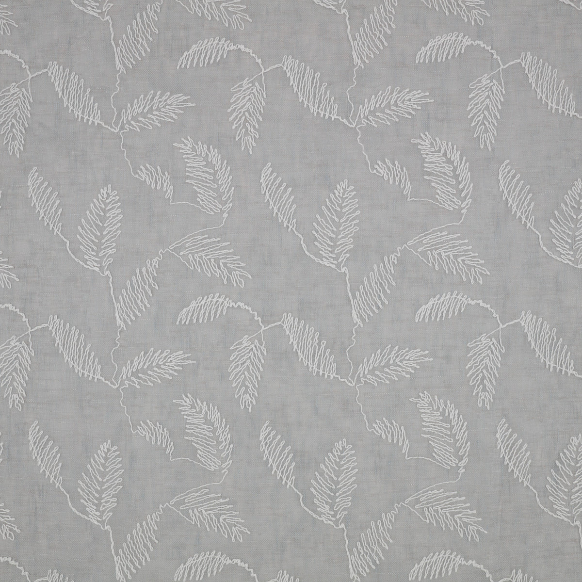 Folia Cirrus – Villa Nova