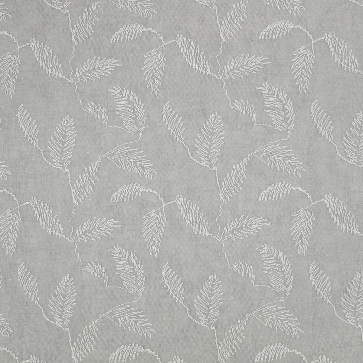 Folia Cirrus – Villa Nova