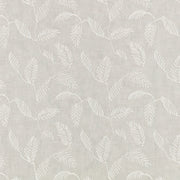 Folia Birch – Villa Nova