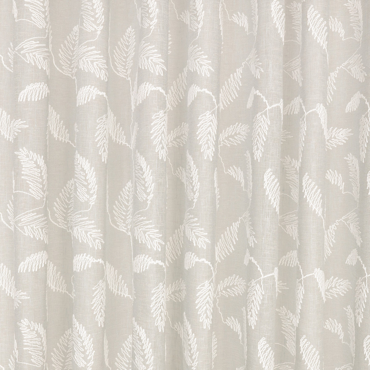 Folia Birch – Villa Nova