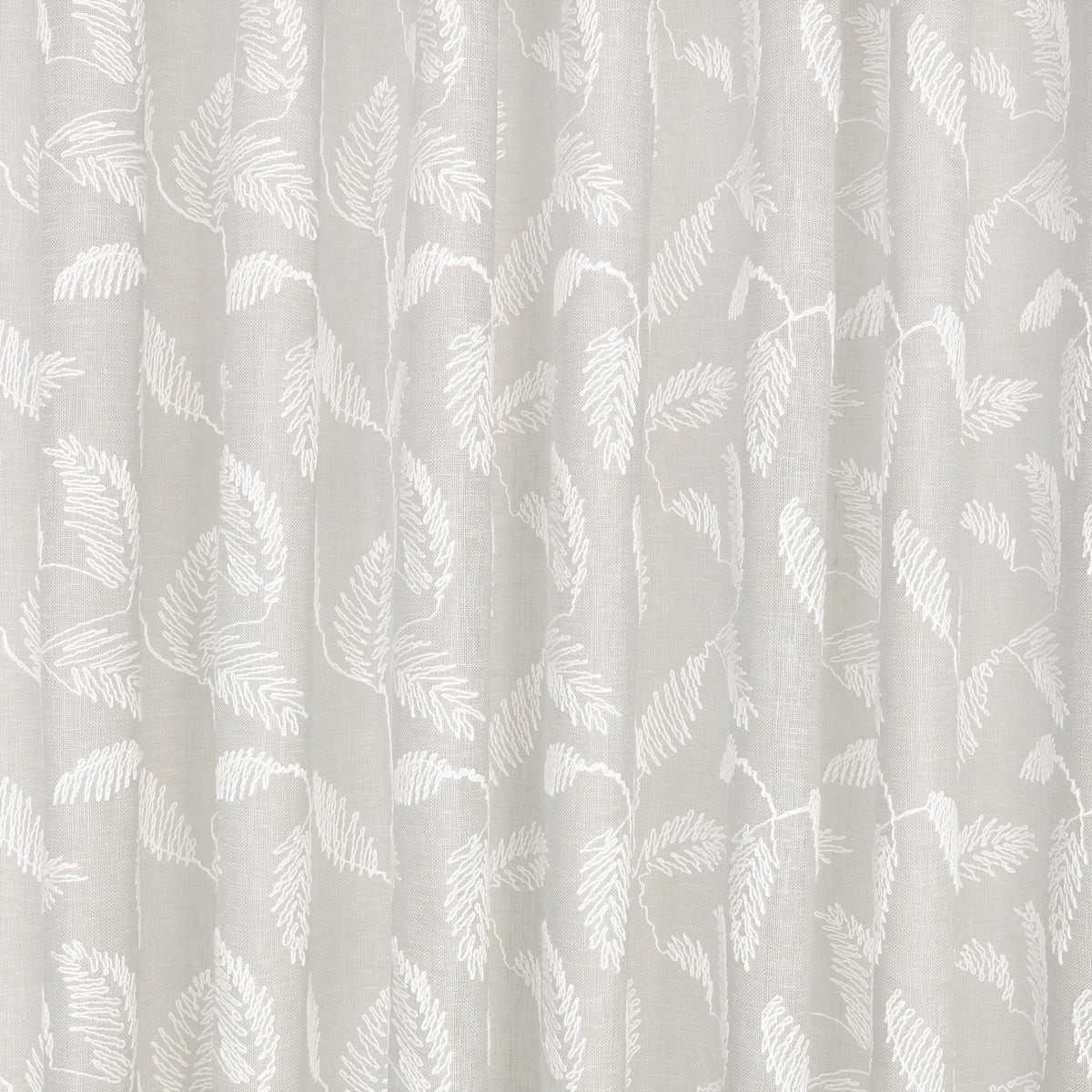 Folia Birch – Villa Nova