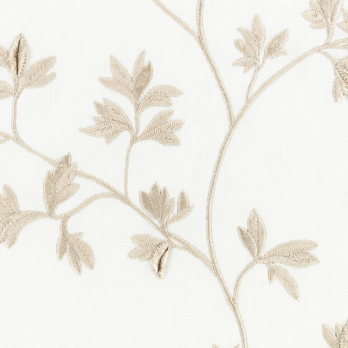 Aurea Calico – Villa Nova