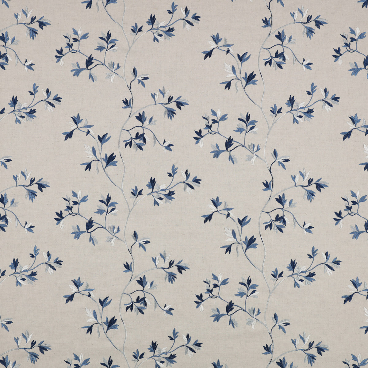 Aurea Cornflower – Villa Nova