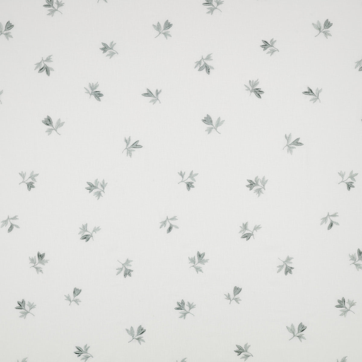 Fiora Haze – Villa Nova