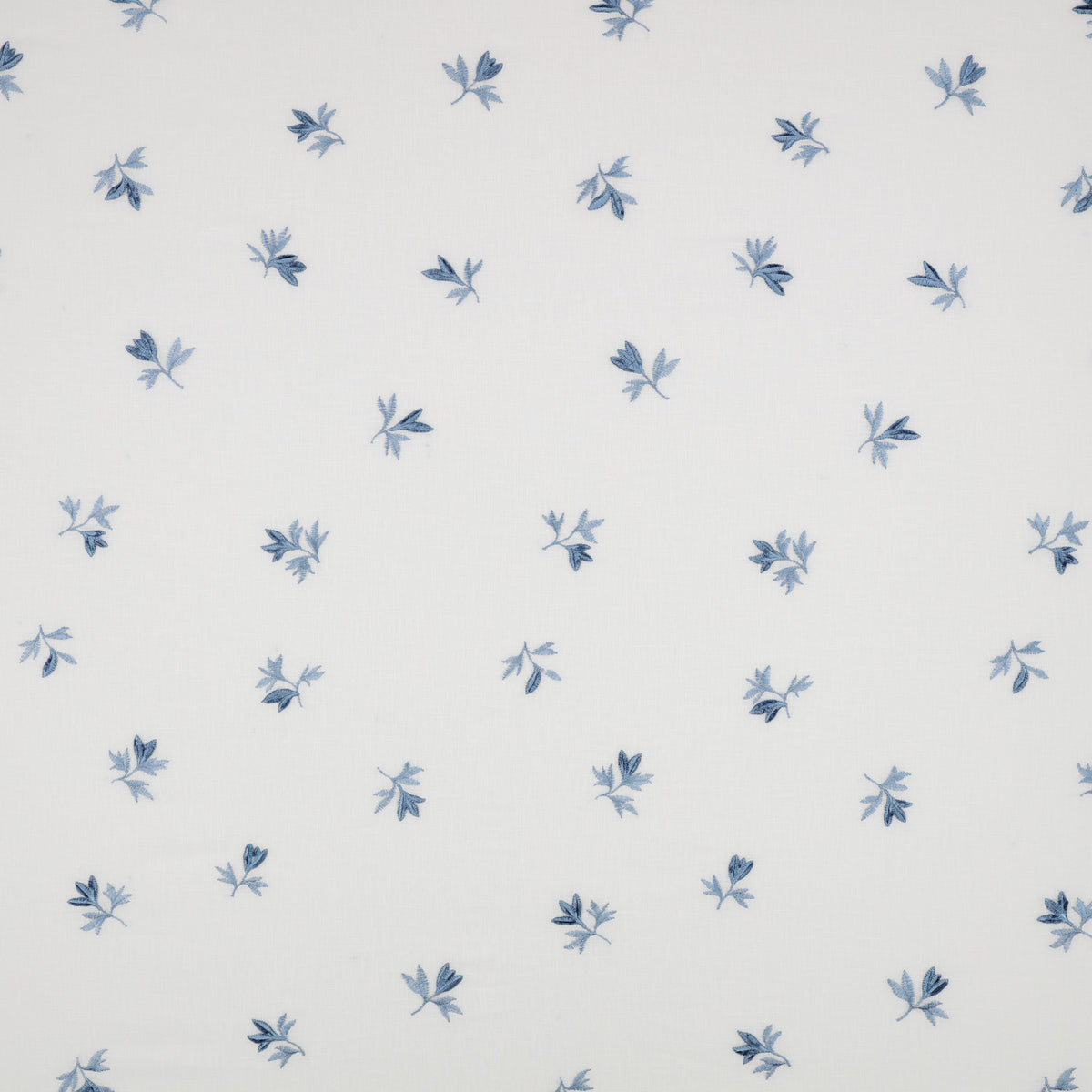 Fiora Cornflower – Villa Nova