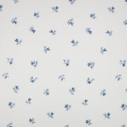 Fiora Cornflower – Villa Nova