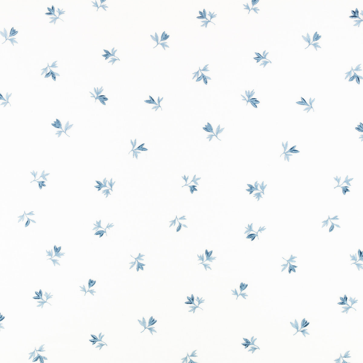 Fiora Cornflower – Villa Nova