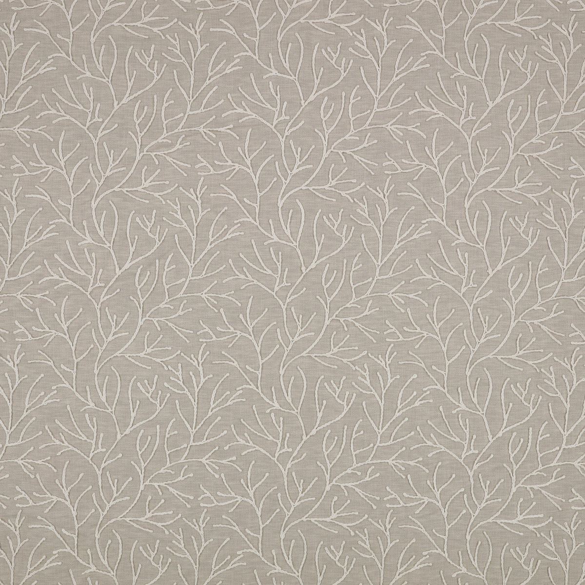Cerelia Birch – Villa Nova