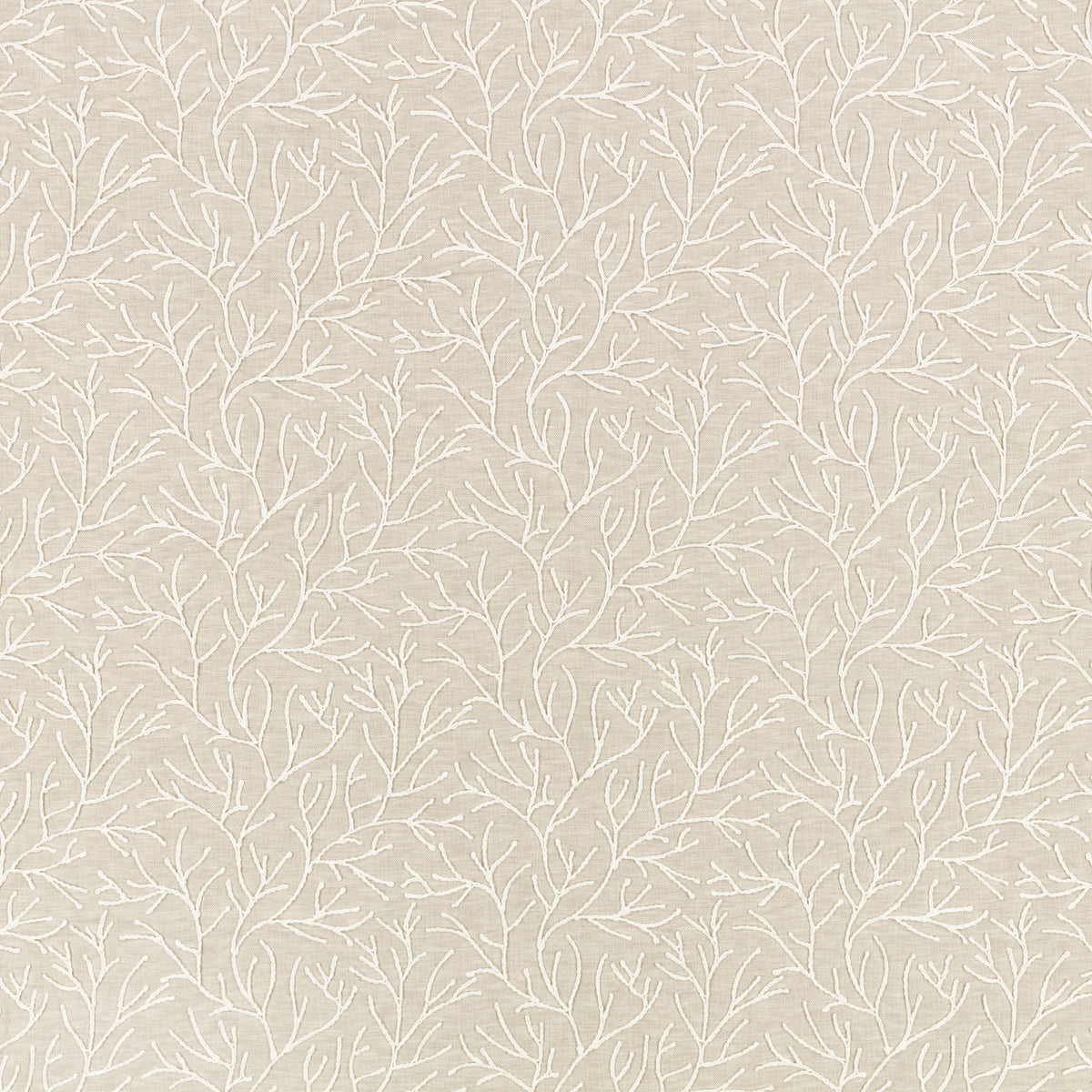 Cerelia Birch – Villa Nova