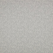 Cerelia Cirrus – Villa Nova